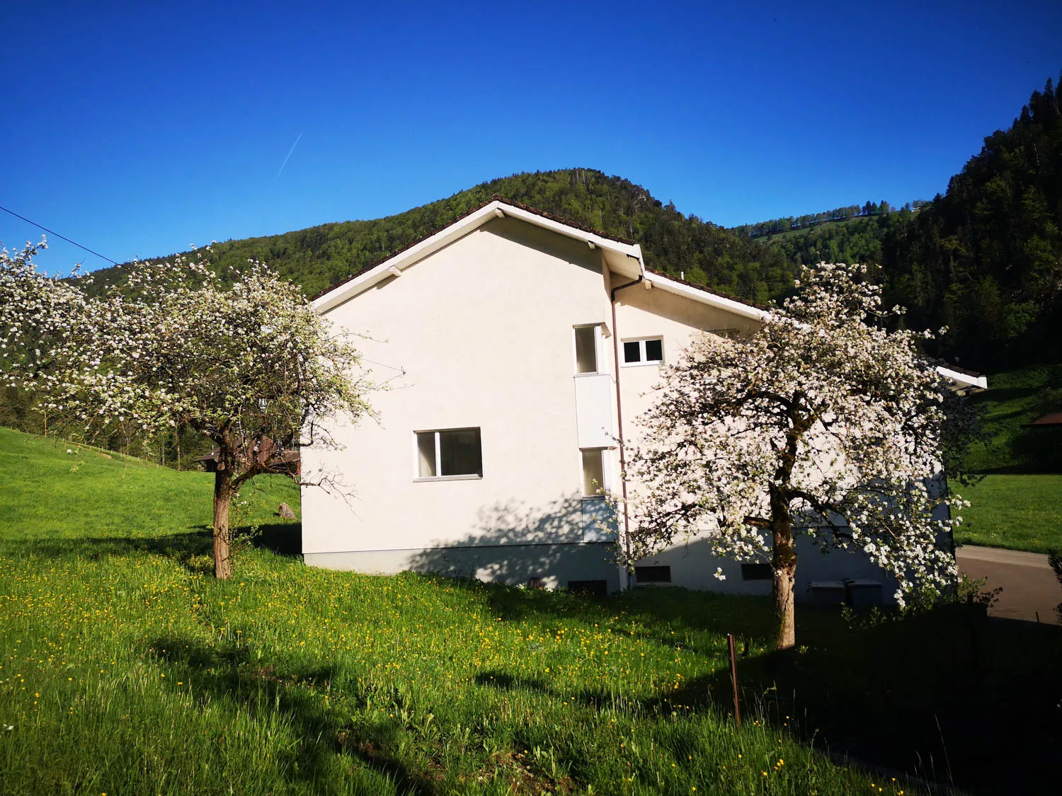Schulhaus Seehof.jpg