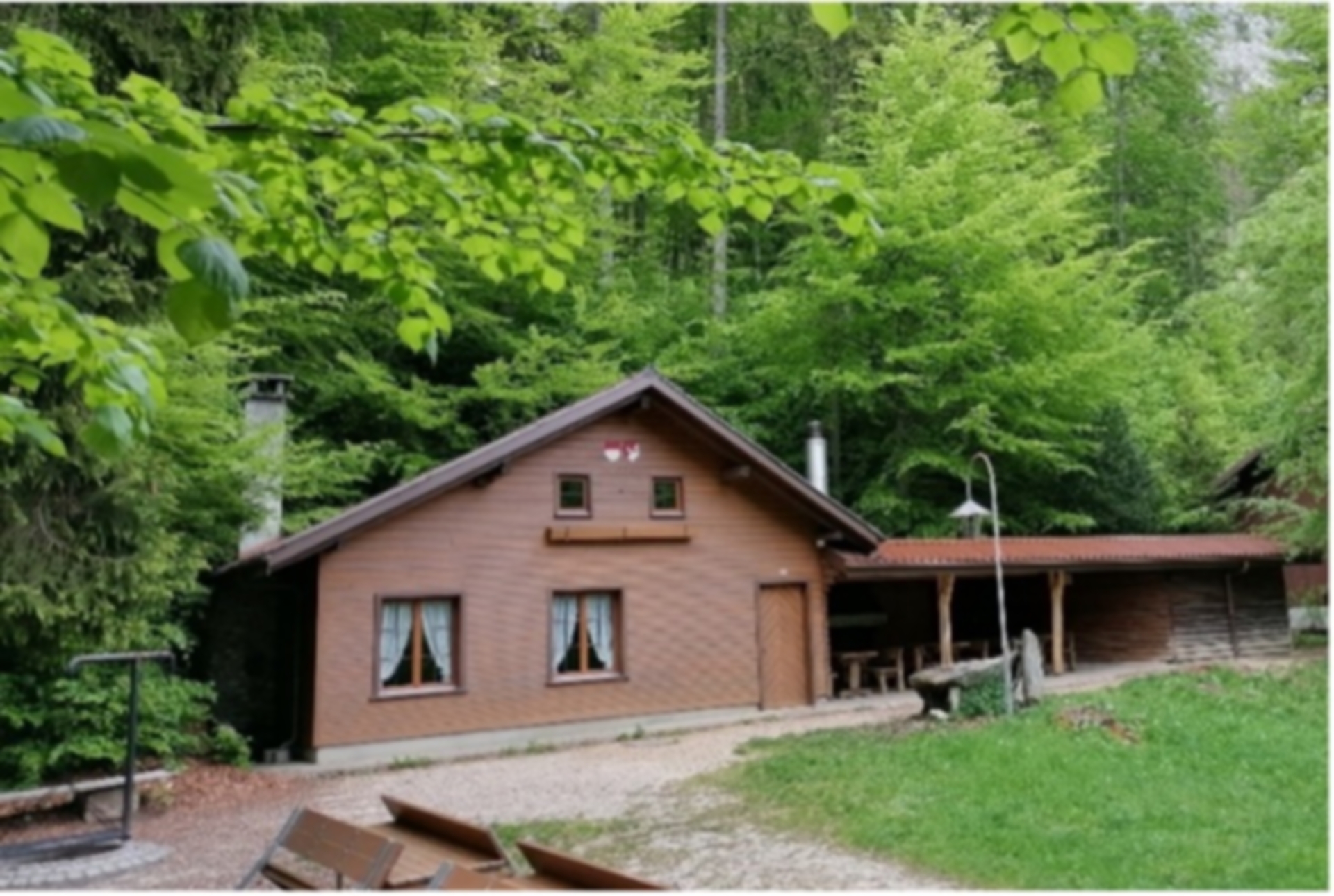 Grünholz_2025.jpg
