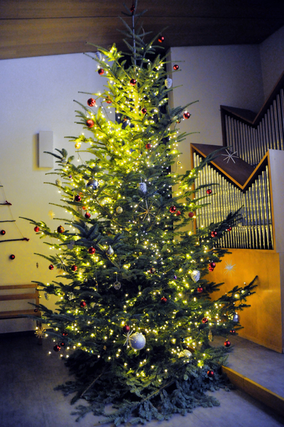Weihnachtsbaum_neu_1sn4q9yw3cufq.jpg Weihnachtsbaum_neu_1sn4q9yw3cufq.jpg